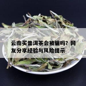 云南买普洱茶会被骗吗？网友分享经验与风险提示