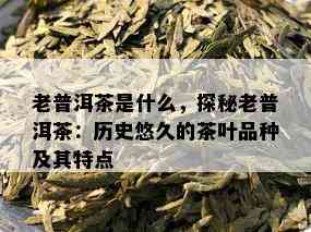 老普洱茶是什么，探秘老普洱茶：历史悠久的茶叶品种及其特点