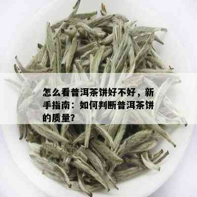 怎么看普洱茶饼好不好，新手指南：如何判断普洱茶饼的质量？