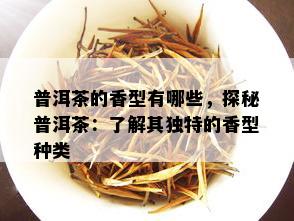 普洱茶的香型有哪些，探秘普洱茶：了解其独特的香型种类