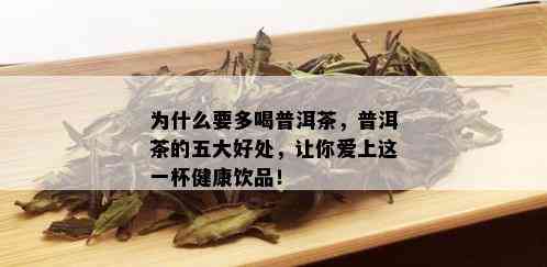 为什么要多喝普洱茶，普洱茶的五大好处，让你爱上这一杯健康饮品！