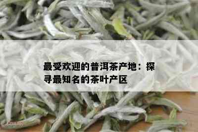 更受欢迎的普洱茶产地：探寻最知名的茶叶产区