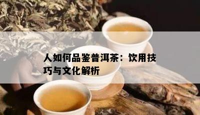 人如何品鉴普洱茶：饮用技巧与文化解析