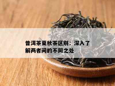 普洱茶夏秋茶区别：深入了解两者间的不同之处