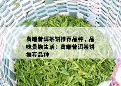 高端普洱茶饼推荐品种，品味贵族生活：高端普洱茶饼推荐品种