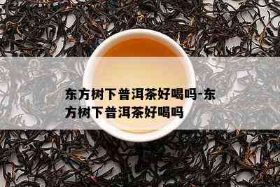 东方树下普洱茶好喝吗-东方树下普洱茶好喝吗