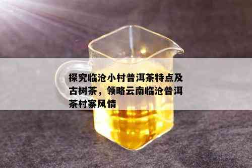 探究临沧小村普洱茶特点及古树茶，领略云南临沧普洱茶村寨风情