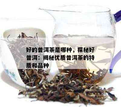 好的普洱茶是哪种，探秘好普洱：揭秘优质普洱茶的特质和品种