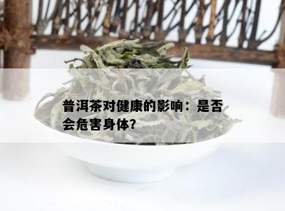 普洱茶对健康的影响：是否会危害身体？