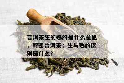 普洱茶生的熟的是什么意思，解密普洱茶：生与熟的区别是什么？