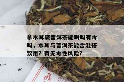 拿木耳装普洱茶能喝吗有吗，木耳与普洱茶能否混搭饮用？有无性风险？