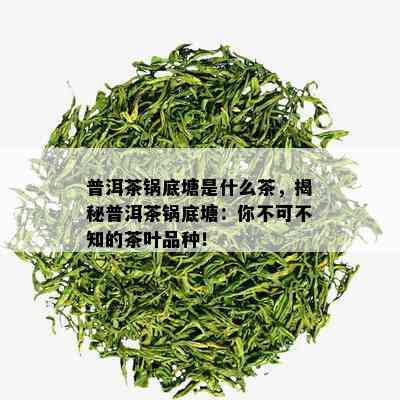 普洱茶锅底塘是什么茶，揭秘普洱茶锅底塘：你不可不知的茶叶品种！