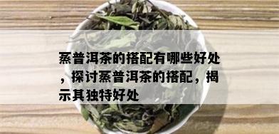 蒸普洱茶的搭配有哪些好处，探讨蒸普洱茶的搭配，揭示其独特好处