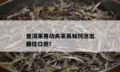 普洱茶用功夫茶具如何泡出更佳口感？