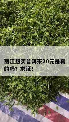 丽江想买普洱茶20元是真的吗？求证！