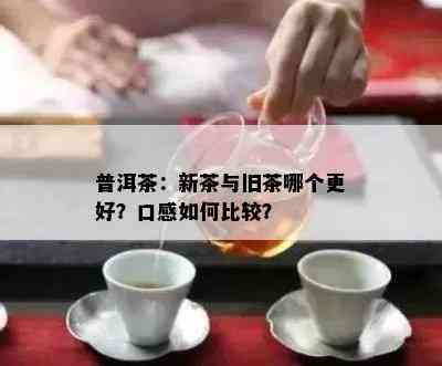 普洱茶：新茶与旧茶哪个更好？口感如何比较？