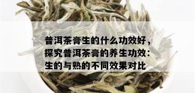 普洱茶膏生的什么功效好，探究普洱茶膏的养生功效：生的与熟的不同效果对比