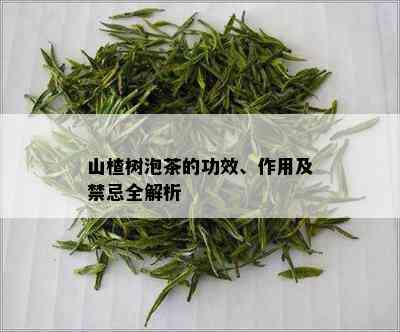 山楂树泡茶的功效、作用及禁忌全解析