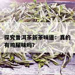 探究普洱茶新茶味道：真的有鸡屎味吗？