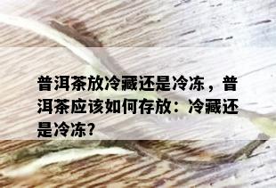 普洱茶放冷藏还是冷冻，普洱茶应该如何存放：冷藏还是冷冻？