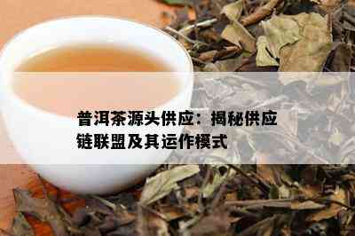 普洱茶源头供应：揭秘供应链联盟及其运作模式