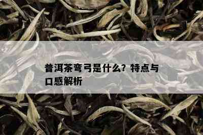 普洱茶弯弓是什么？特点与口感解析