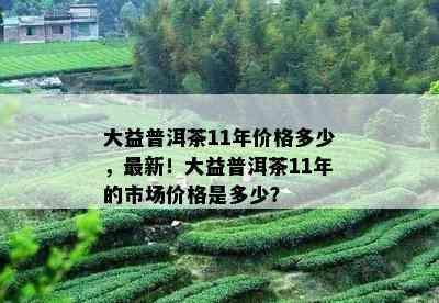 大益普洱茶11年价格多少，最新！大益普洱茶11年的市场价格是多少？