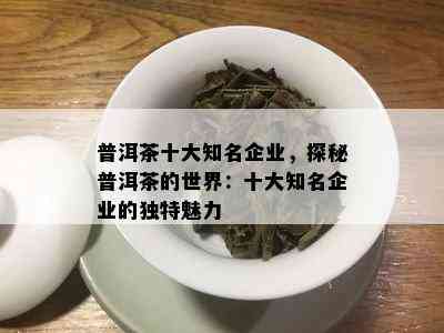 普洱茶十大知名企业，探秘普洱茶的世界：十大知名企业的独特魅力