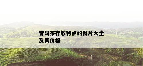 普洱茶存放特点的图片大全及其价格