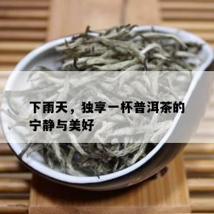 下雨天，独享一杯普洱茶的宁静与美好