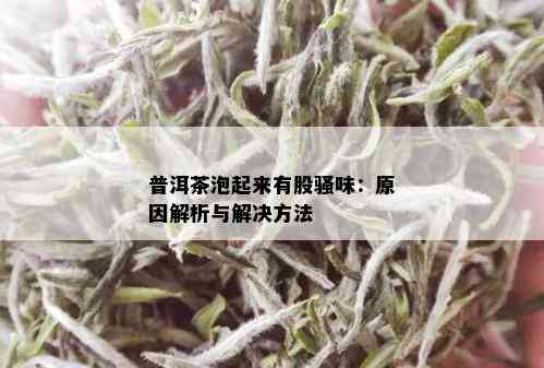 普洱茶泡起来有股骚味：原因解析与解决方法