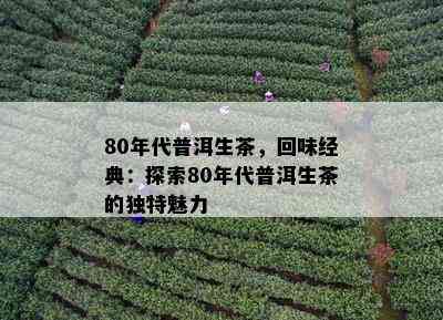 80年代普洱生茶，回味经典：探索80年代普洱生茶的独特魅力