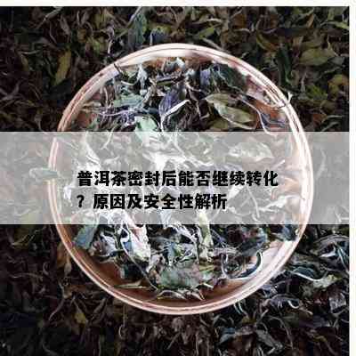 普洱茶密封后能否继续转化？原因及安全性解析