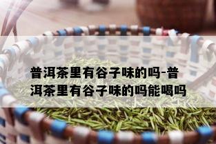 普洱茶里有谷子味的吗-普洱茶里有谷子味的吗能喝吗