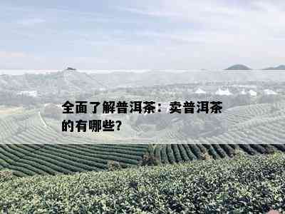 全面了解普洱茶：卖普洱茶的有哪些？