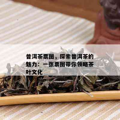 普洱茶票图，探索普洱茶的魅力：一张票图带你领略茶叶文化