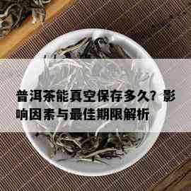 普洱茶能真空保存多久？影响因素与更佳期限解析