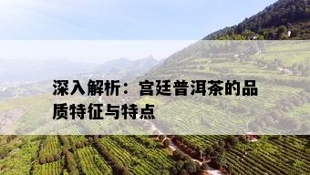 深入解析：宫廷普洱茶的品质特征与特点