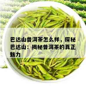 巴达山普洱茶怎么样，探秘巴达山：揭秘普洱茶的真正魅力