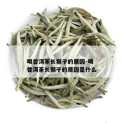 喝普洱茶长猴子的原因-喝普洱茶长猴子的原因是什么