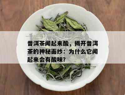 普洱茶闻起来酸，揭开普洱茶的神秘面纱：为什么它闻起来会有酸味？