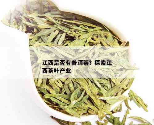 江西是否有普洱茶？探索江西茶叶产业