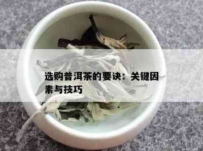 选购普洱茶的要诀：关键因素与技巧