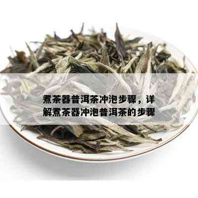 煮茶器普洱茶冲泡步骤，详解煮茶器冲泡普洱茶的步骤