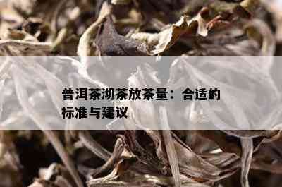 普洱茶沏茶放茶量：合适的标准与建议