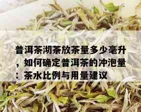 普洱茶沏茶放茶量多少毫升，如何确定普洱茶的冲泡量：茶水比例与用量建议