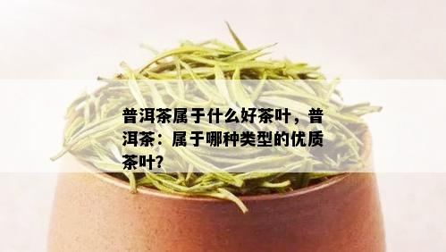 普洱茶属于什么好茶叶，普洱茶：属于哪种类型的优质茶叶？