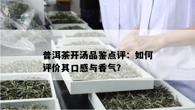 普洱茶开汤品鉴点评：如何评价其口感与香气？