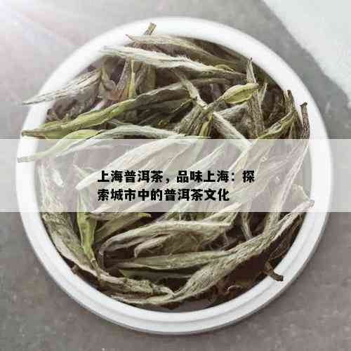 上海普洱茶，品味上海：探索城市中的普洱茶文化