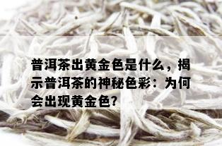 普洱茶出黄金色是什么，揭示普洱茶的神秘色彩：为何会出现黄金色？